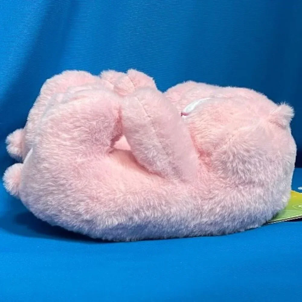 NWT & GREAT GIFT  ADORABLE CARE BEARS KIDS SLIPPERS SIZE XL 4 - 5 PINK ( CHEER )